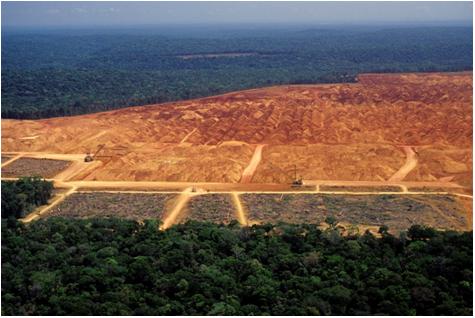 アマゾンの熱帯林の破壊