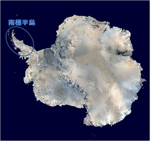 南極と南極半島の温暖化